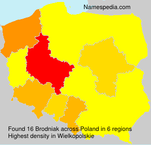 Brodniak Brodniak