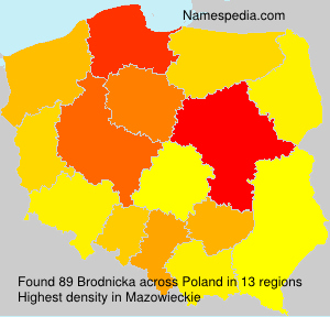 Brodnicka Brodnicka
