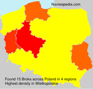 Broka Broka