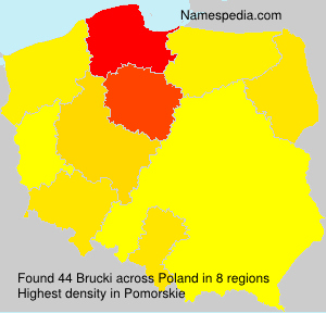 Brucki Brucki