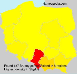 Surname Brudny in Poland Surname Brudny in Poland