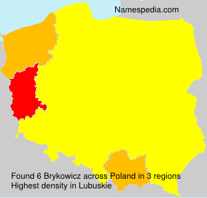 Surname Brykowicz in Poland Surname Brykowicz in Poland