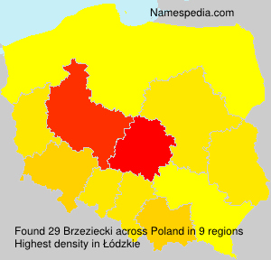 Brzeziecki Brzeziecki