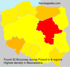 Surname Brzozowy in Poland Surname Brzozowy in Poland