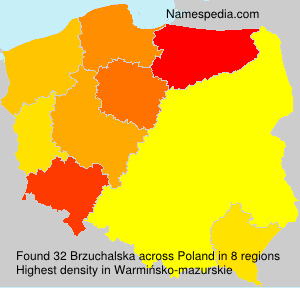 Brzuchalska Brzuchalska