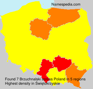 Brzuchnalski Brzuchnalski