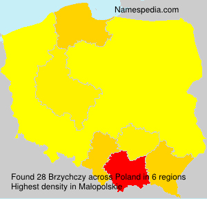 Brzychczy Brzychczy