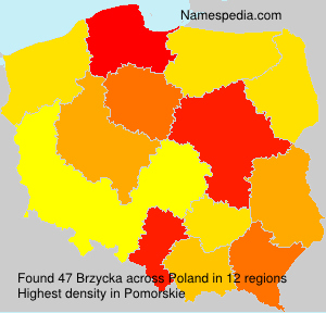 Surname Brzycka in Poland Surname Brzycka in Poland