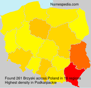 Brzyski Brzyski