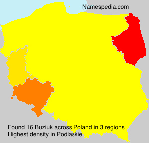 Surname Buziuk in Poland Surname Buziuk in Poland