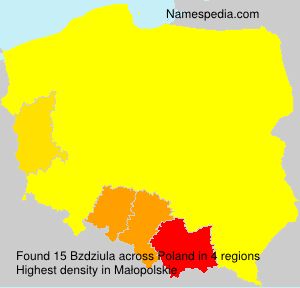 Surname Bzdziula in Poland Surname Bzdziula in Poland