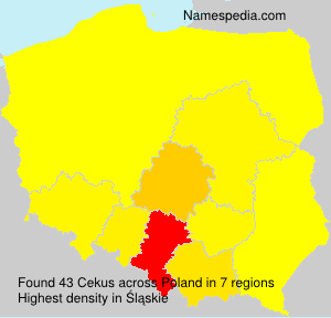 Cekus Cekus