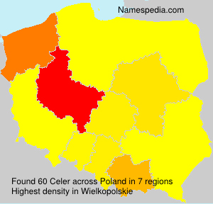 Surname Celer in Poland Surname Celer in Poland