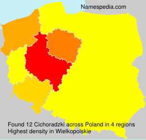 Cichoradzki Cichoradzki