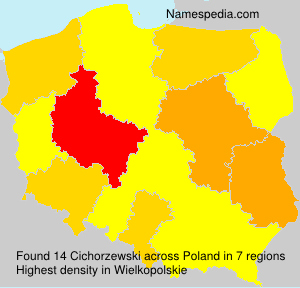 Cichorzewski Cichorzewski