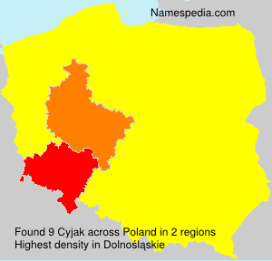 Cyjak Cyjak
