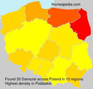 Damszel Damszel