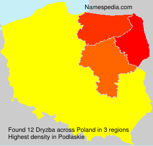 Surname Dryzba in Poland Surname Dryzba in Poland