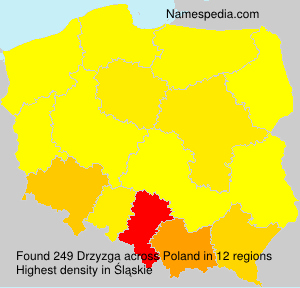 Surname Drzyzga in Poland Surname Drzyzga in Poland
