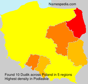 Dudik Dudik