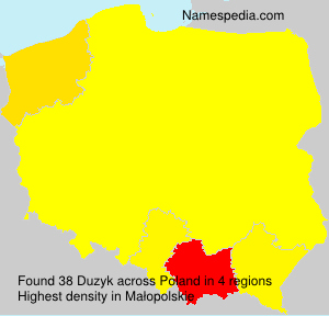 Surname Duzyk in Poland Surname Duzyk in Poland