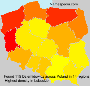 Dziemidowicz Dziemidowicz