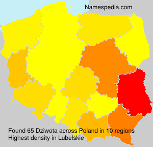 Dziwota Dziwota