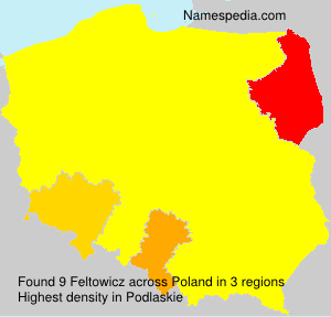 Feltowicz Feltowicz