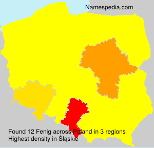 Surname Fenig in Poland Surname Fenig in Poland