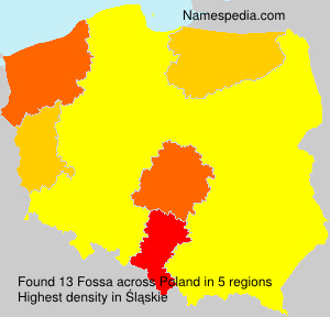 Fossa Fossa