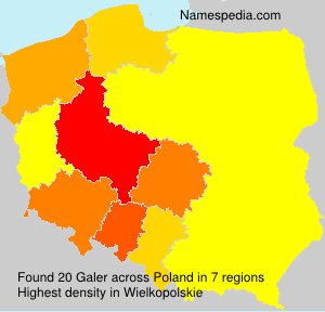 Galer Galer
