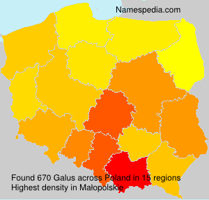 Galus Galus