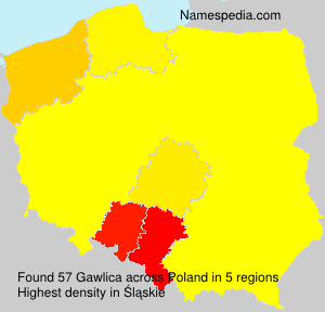 Gawlica Gawlica