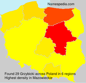 Grzybicki Grzybicki