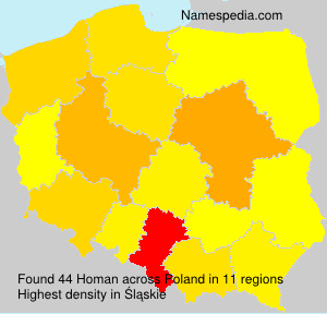 Homan Homan