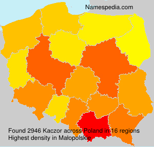 Surname Kaczor in Poland Surname Kaczor in Poland