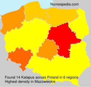 Kalapus Kalapus