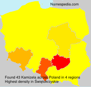 Kamizela Kamizela