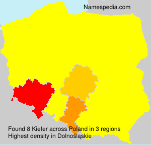 Surname Kiefer in Poland Surname Kiefer in Poland