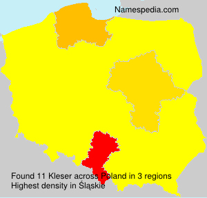 Kleser Kleser