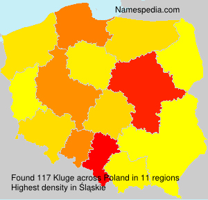 Kluge Kluge