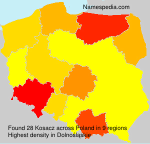 Kosacz Kosacz