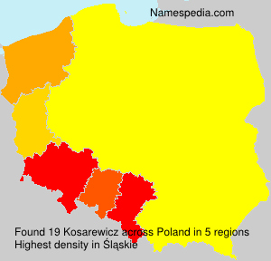 Kosarewicz Kosarewicz