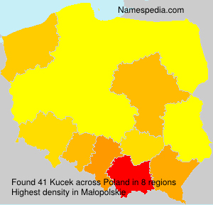 Kucek Kucek
