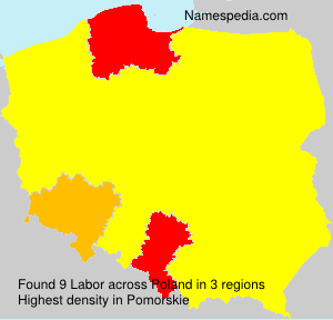 Surname Labor in Poland Surname Labor in Poland