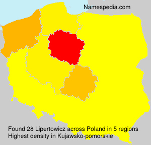 Lipertowicz Lipertowicz
