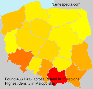 Lizak Lizak