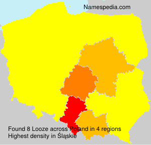 Looze Looze