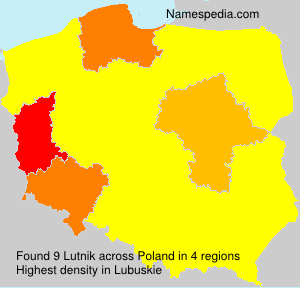 Lutnik Lutnik