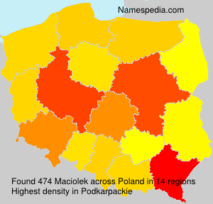 Maciolek Maciolek